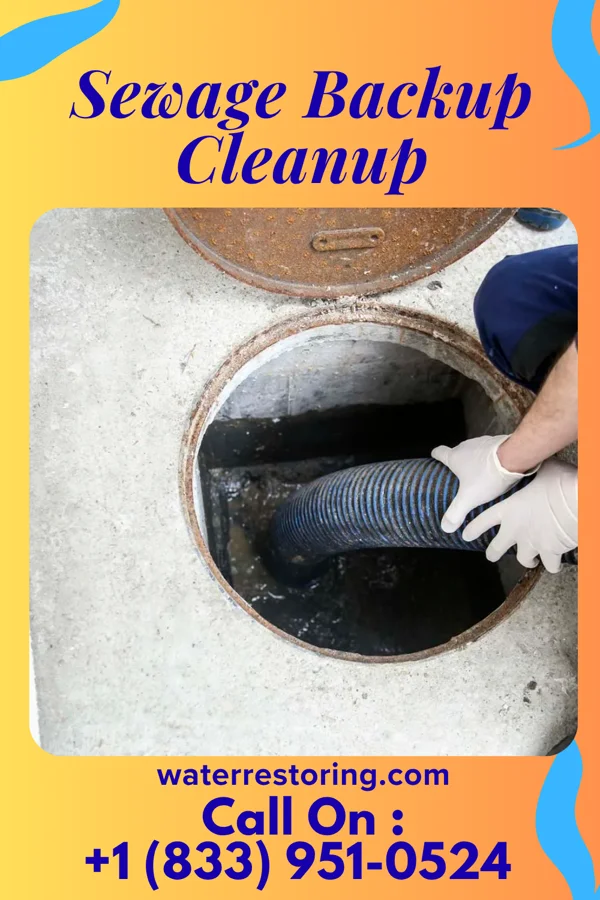 Sewage Backup Cleanup in Bowman, TN