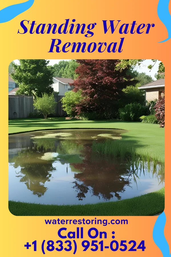 Standing Water Removal in Bowman, TN